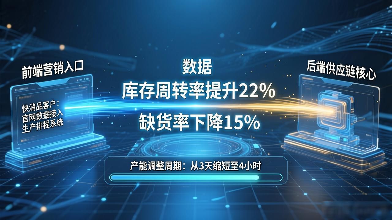 2025 TP官网新版发布 行业数字化升级实践指南